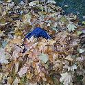 20111106_160302