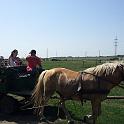 20120806_104443